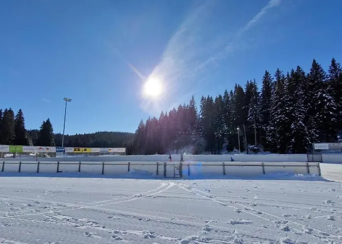 Apartman Bella Vista & Alp'sport By Interhome