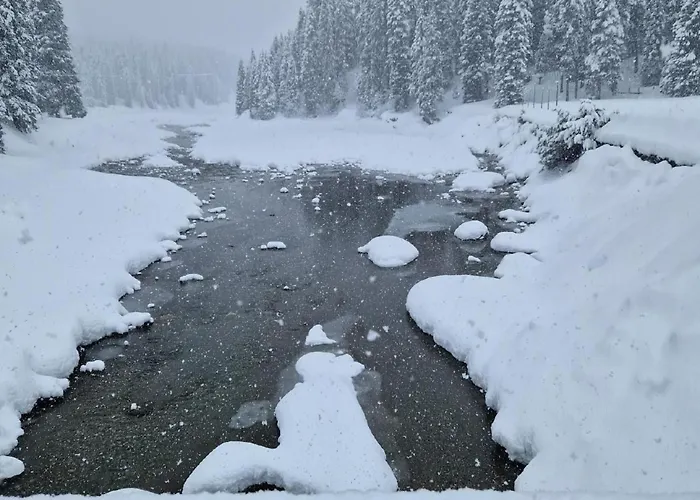 Bella Vista & Alp'sport By Interhome * San Bernardino