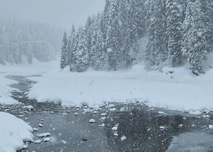 Apartamento Bella Vista & Alp'sport By Interhome San Bernardino