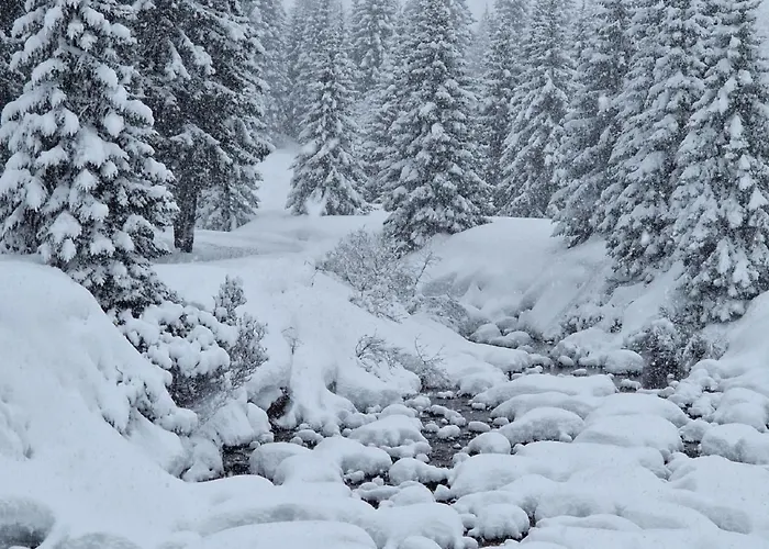 Apartman Bella Vista & Alp'sport By Interhome San Bernardino