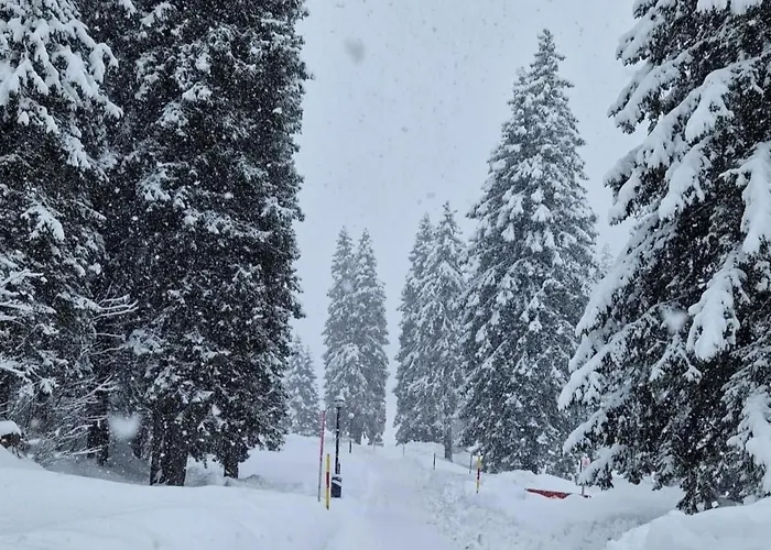 Bella Vista & Alp'sport By Interhome * San Bernardino